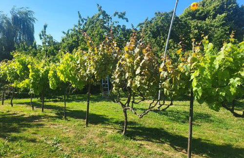 Lovely Holiday Home in Loire for 10 - Photo 8