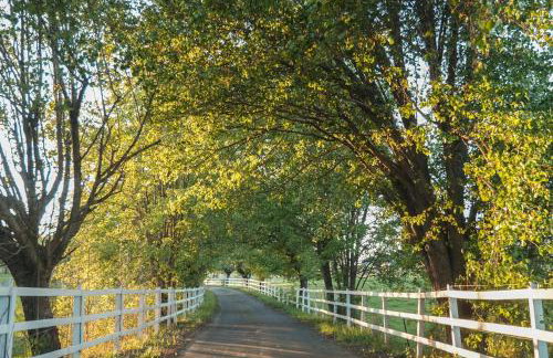 In the Woods by a Pond! Sugar Ranch Guest House! - Foto 70