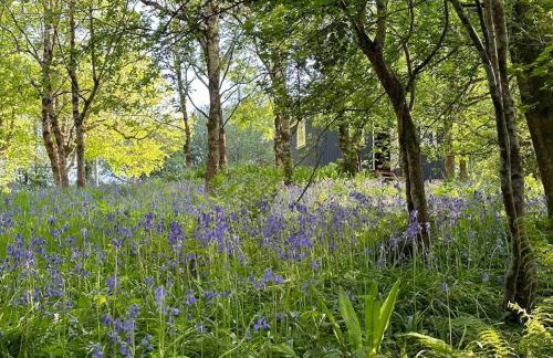 Cornwall Woodland Shepherd's Hut with Hot Tub - Deirdres Hut - Foto 6