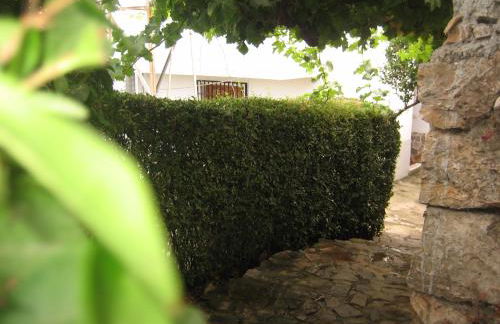 Alojamiento Rural Mirador del Avellano - Foto 9