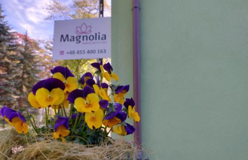 Agroturystyka Magnolia - Foto 12