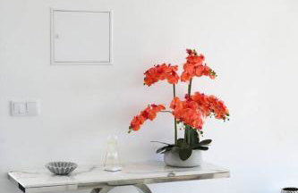 Ocean Valley by Mth - Foto 10