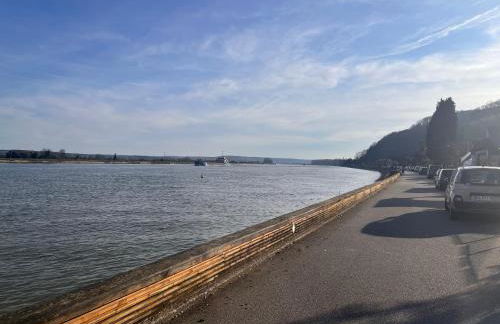 Gite LA FLEUR DE SEINE - Foto 11