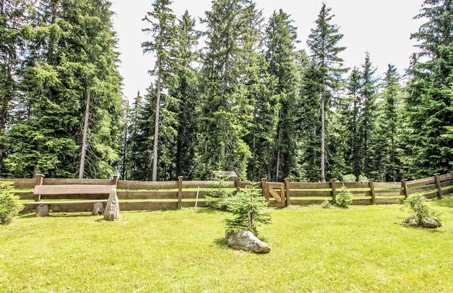 Hochkrimml - Foto 40