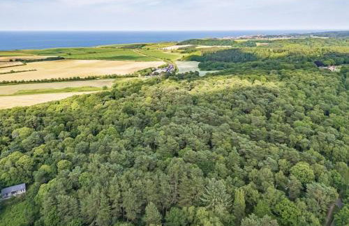 Tree Tops - Norfolk Cottage Agency - Photo 18