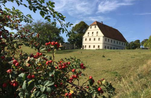 Lindenhof Michaelis - Urlaub auf dem historischen Gutshof - Foto 17