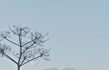 La casa delle api - Foto 12