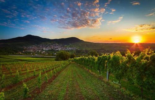 Ferienwohnung an der Kapelle - Photo 22