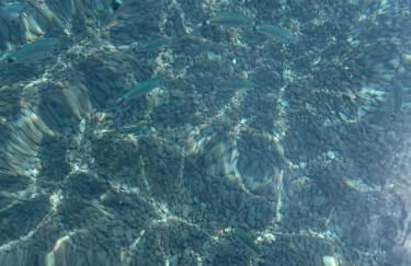 La Casuzza Dei Re - Foto 25