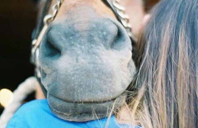 Ranch Marina - Photo 11