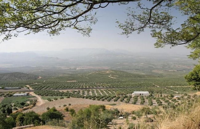 Ventana del Guadalquivir - Foto 9