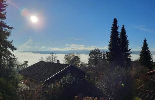 Ferienhaus Alexandra - Foto 22