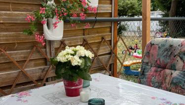 Souterrain-Apartment - Foto 2, Garden view