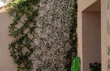 AniCa I, en el corazón de la Mancha - Photo 35