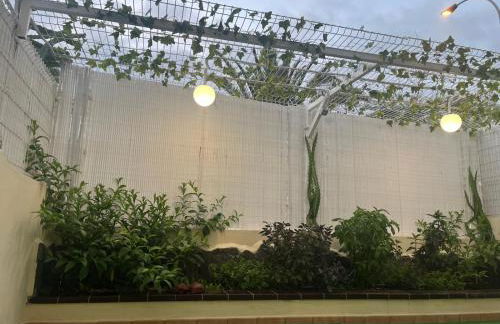 Dinastia1RbHa - Photo 27