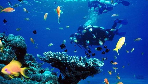 Full Day Diving Tour in Side - Foto 2