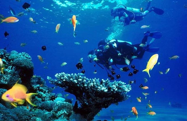 Full Day Diving Tour in Side - Photo 2