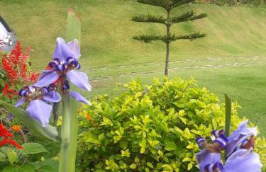 Chalet Schönenberg - Foto 52