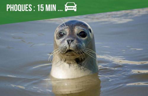 Gîte Le Chauffour -Calme-Famille-WIFI-Billard - Foto 36