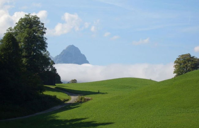 in het Blauwe Huis - BG - Foto 17
