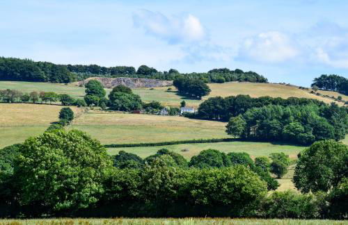 Coedmor Cottages - Foto 49