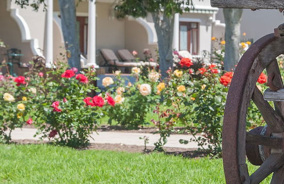 Glen Avon Lodge Boutique Hotel - Foto 28