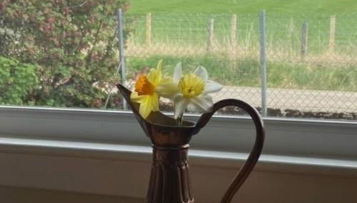 No 4 the Highlands - Foto 4, Garden view