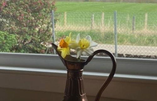 No 4 the Highlands - Foto 4