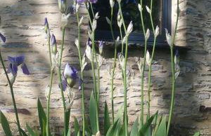 Le Moulin d' Erée, gîte Insolite de charme - Foto 29