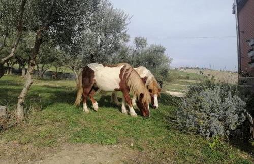 Casa degli Ulivi - Foto 25