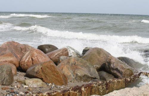 Reethus Stöfs - Foto 20