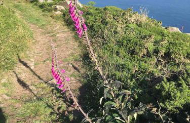 1 Bryn Tirion Uchaf - Foto 29