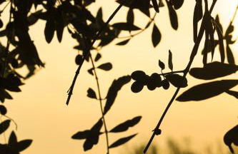 Casa di Gio - Foto 50