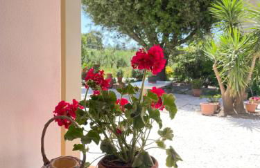 Il Leccio Agriturismo - Foto 39