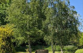 Przy Strumyku - Apartament w Górach Izerskich - Photo 21