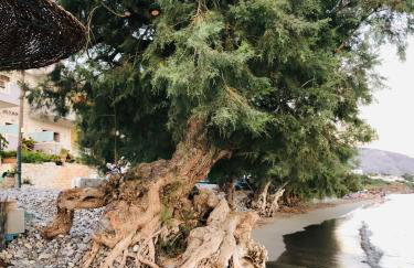 Makrigialos Long Beach Villa 5 - Foto 50