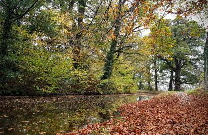 Glanpant Bach - Photo 20