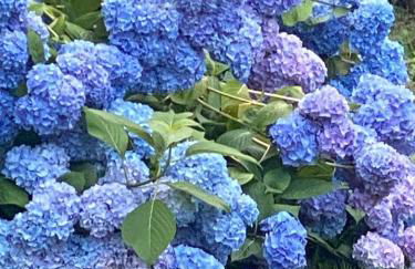 Relax, Comfort & Alps Adventures - Photo 55