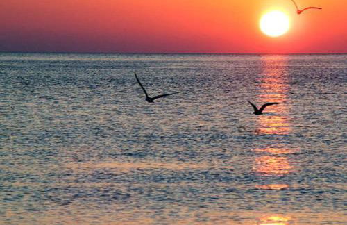 Stunning Sea View - Photo 24