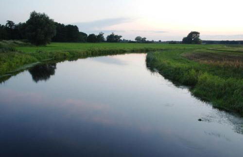 Finnhütten Waldesruh - Foto 36