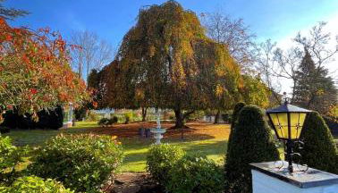 Zur Herrlichkeit - Foto 3