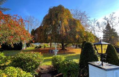 Zur Herrlichkeit - Foto 3