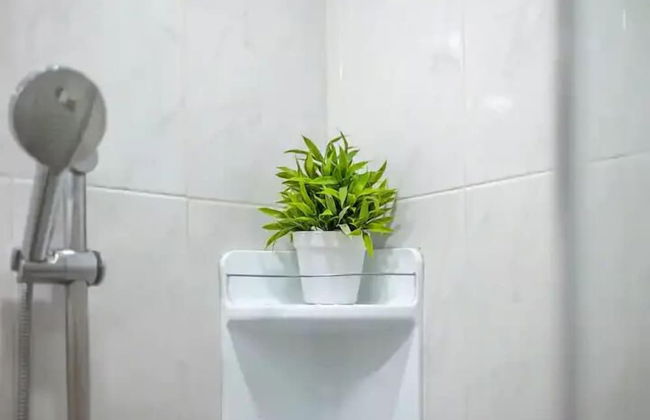 Alterhome Padilla Las Palmas - Foto 42