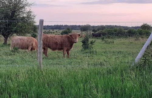 Succom'baie au cottage de la Maye - Foto 29