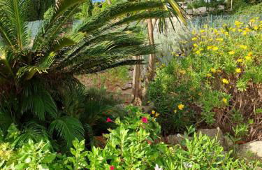 La Casa Celestial - Foto 54