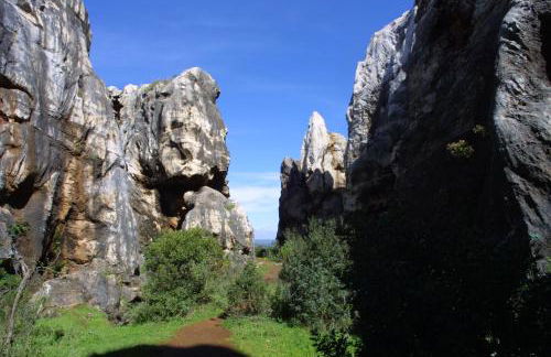 Las Navezuelas - Photo 78