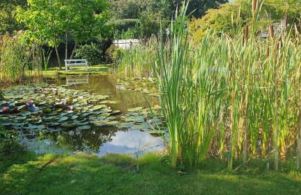 Large private home with small lake and garden - Photo 7
