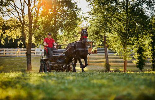 Apartamenty Białe Brzozy - Photo 6