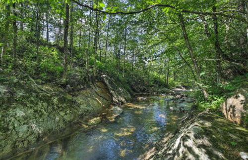 Ski Lodge Mtn Retreat with Fire Pit, Deck and Views! - Foto 31