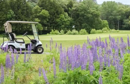 Kingswood 6E - Foto 39